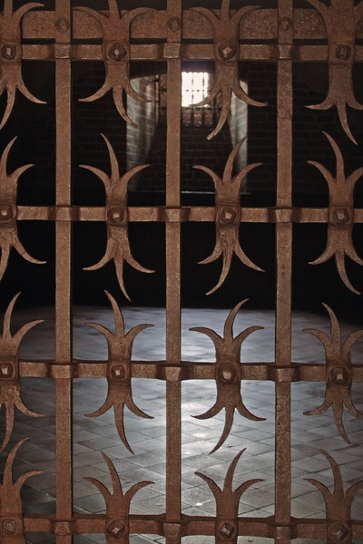 Widok przez kutą w motywy dekoracyjne kratę do wnętrza pomieszczenia będącego celą więzienną.